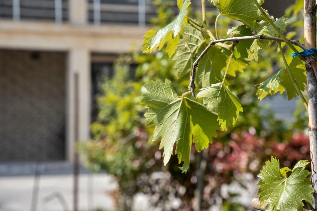 Villa Garden Shkodra Exterior photo