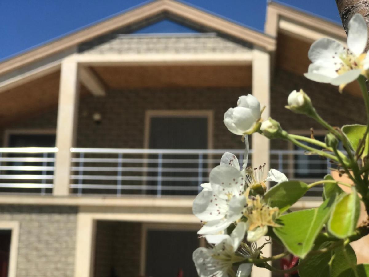 Villa Garden Shkodra Exterior photo