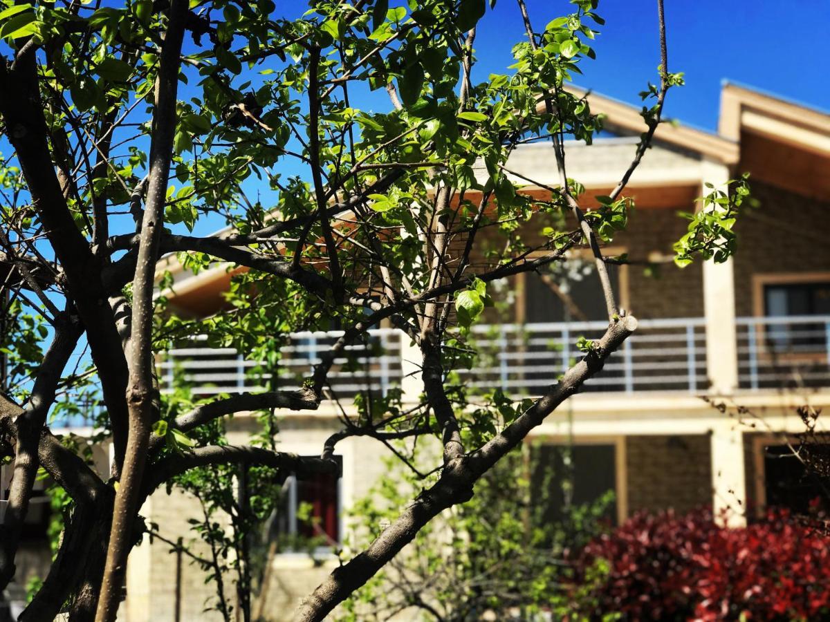 Villa Garden Shkodra Exterior photo